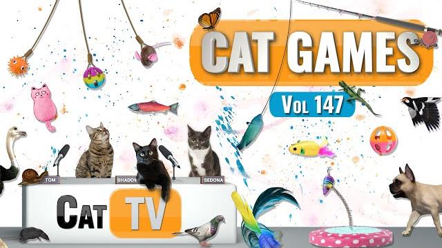 Cat games | ultimate cat tv compilation vol 147 | 8 часов Cat games | ultimate cat tv compilation vol 147 | 8 часов