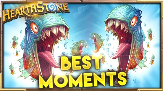 Best moments 84 | hearthstone gadgetzan Best moments 84 | hearthstone gadgetzan