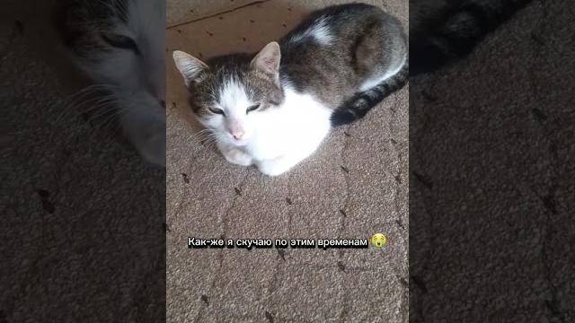 Я очень скучаю Я очень скучаю