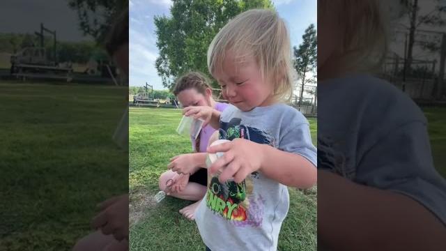 Collecting bug’s for aunt doot’s Collecting bug’s for aunt doot’s