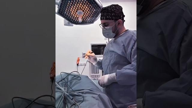 The spine- your body’s core support #shorts #surgeon #neuro #medicallife #trending #surgeonlife The spine- your body’s core support #shorts #surgeon #neuro #medicallife #trending #surgeonlife