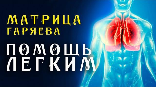 Матрица гаряева полное восстановление легких квантовое исцеление звуком насыщение кислородом Матрица гаряева полное восстановление легких квантовое исцеление звуком насыщение кислородом