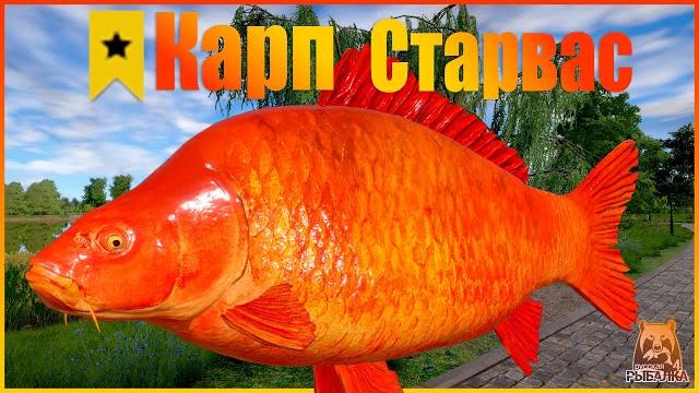 Трофей карп красный старвас - чешуйчатый Трофей карп красный старвас - чешуйчатый