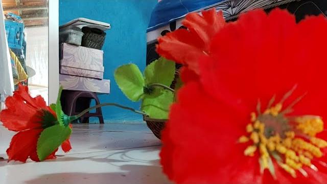 Flor Flor
