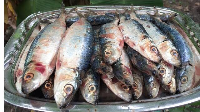 Fish stew / hurullo stew Fish stew / hurullo stew