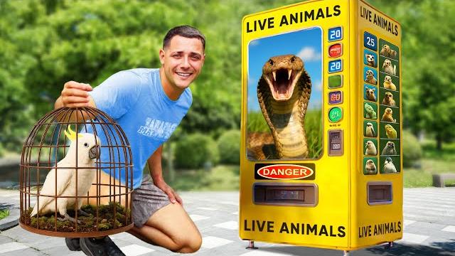 I found a live animal vending machine… part 2 I found a live animal vending machine… part 2