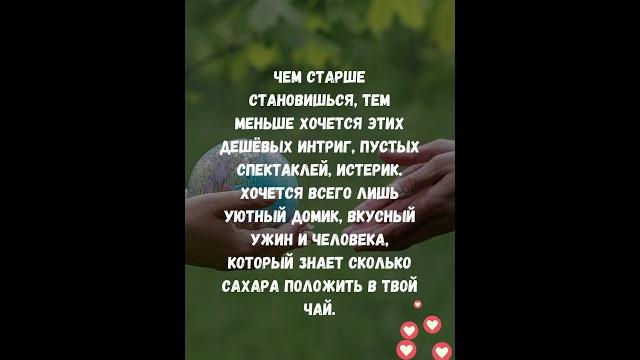 Мудрые слова на каждый день Мудрые слова на каждый день