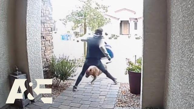 Delivery driver saves homeowner & dog from pit bull attack | neighborhood wars | a&e Delivery driver saves homeowner & dog from pit bull attack | neighborhood wars | a&e