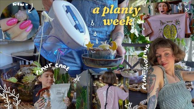 Looong planty vlog 🪴 new plants, rescuing plants (from myself lol), clothing haul, & repots Looong planty vlog 🪴 new plants, rescuing plants (from myself lol), clothing haul, & repots
