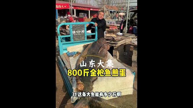 山东大集:800斤金枪鱼头煎蛋#好好吃饭大赛 #人间烟火 山东大集:800斤金枪鱼头煎蛋#好好吃饭大赛 #人间烟火