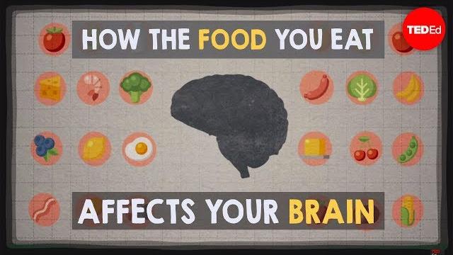 How the food you eat affects your brain - mia nacamulli How the food you eat affects your brain - mia nacamulli