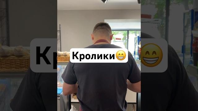 Кролики Кролики