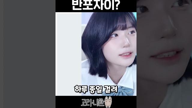 반포자이? 그게 뭔데? #shorts 반포자이? 그게 뭔데? #shorts
