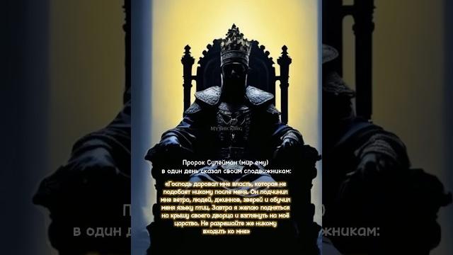 Смерть пророка сулеймана (мир ему) - исламская история #рек #коран #мухаммадﷺ #ислам #мусульмане Смерть пророка сулеймана (мир ему) - исламская история #рек #коран #мухаммадﷺ #ислам #мусульмане