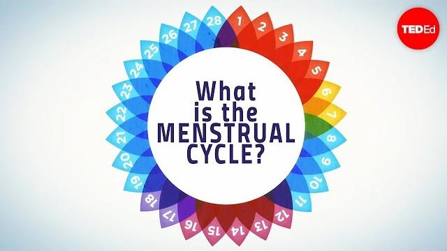 How menstruation works - emma bryce How menstruation works - emma bryce