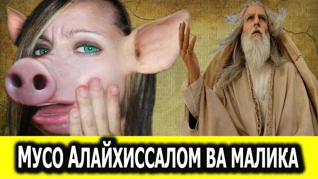 Мусо алайхиссалом ва маликани чучкага айланиши Мусо алайхиссалом ва маликани чучкага айланиши
