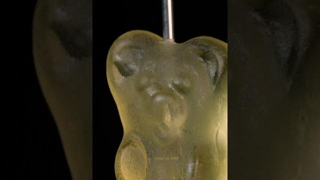 Asmr ink injection into damla bear close-up macro #shorts #satisfying #closeup #asmr #macro Asmr ink injection into damla bear close-up macro #shorts #satisfying #closeup #asmr #macro