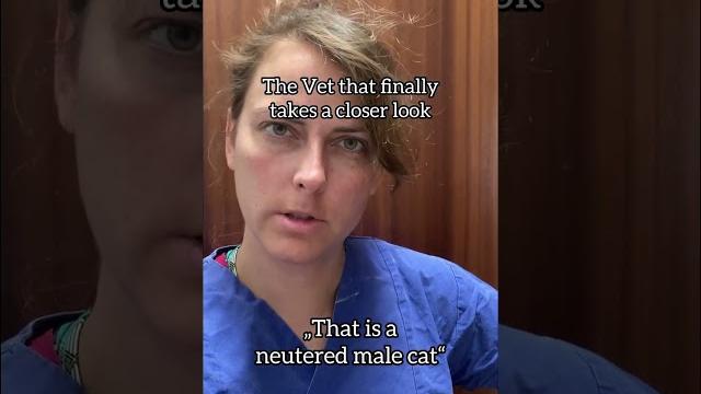 Castration/ neuter fail! #vetmed #veterinary Castration/ neuter fail! #vetmed #veterinary