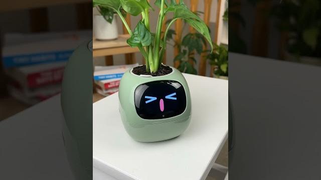 “my planters are so boring” 🪴 “my planters are so boring” 🪴