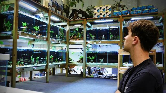 Incredible hand built aquarium store | full tour Incredible hand built aquarium store | full tour