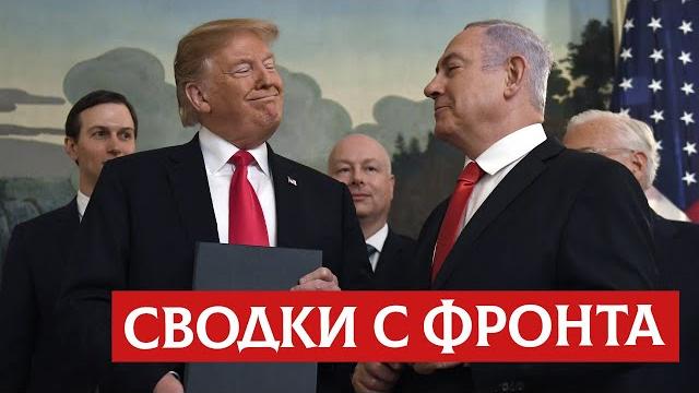Сводки с фронта | раввин михаил финкель Сводки с фронта | раввин михаил финкель