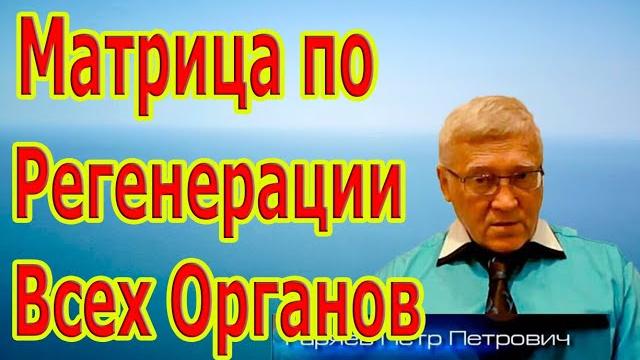 Редкая и единственная матрица по регенерации всех органов. Редкая и единственная матрица по регенерации всех органов.