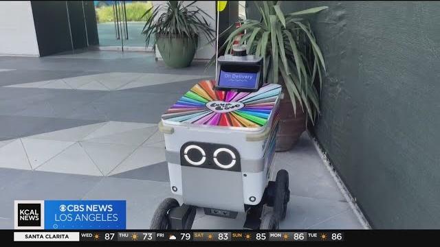 Delivery robots spark debate in southern california Delivery robots spark debate in southern california