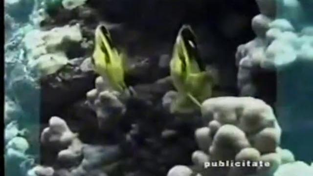 Antena 1 ident (2001) Antena 1 ident (2001)