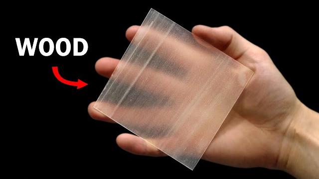 Making transparent wood Making transparent wood