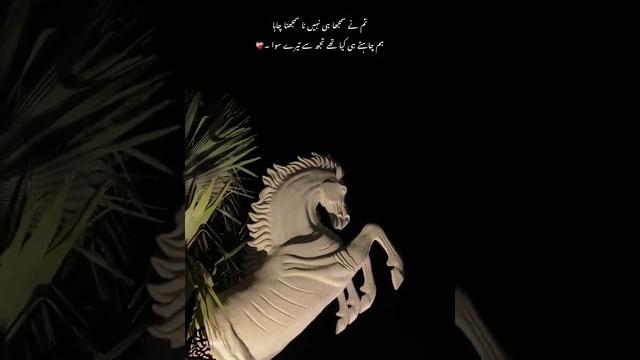 #poetryaccount #poetry #lifeisbutadream #loveletter #unfrezzmyaccount #ihavethisthingwithplants #poetryaccount #poetry #lifeisbutadream #loveletter #unfrezzmyaccount #ihavethisthingwithplants