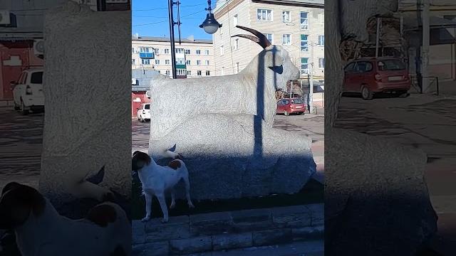Урюпинская коза зимой. Урюпинская коза зимой.