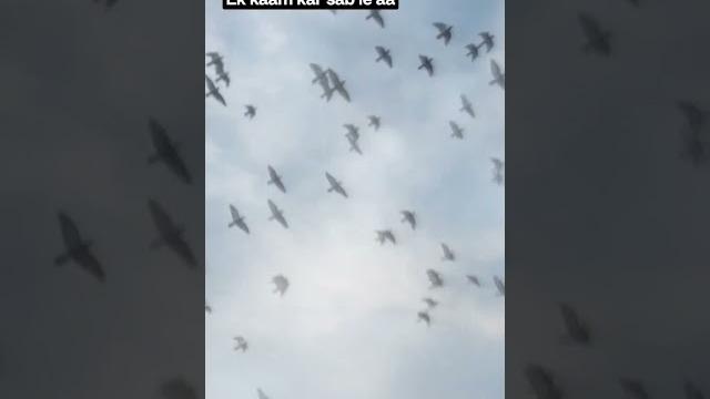 Watch full link check dea... Watch full link check dea...