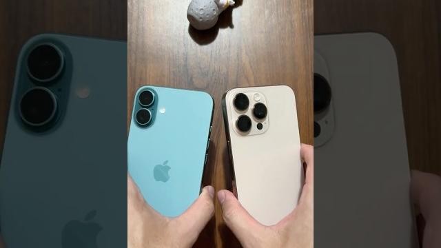 Iphone 16 plus vs iphone 16 pro max Iphone 16 plus vs iphone 16 pro max