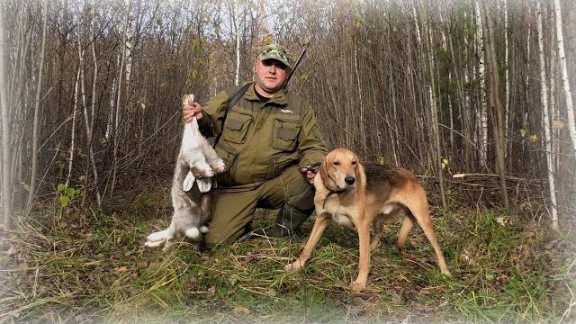Эх, вот это нам сегодня повезло!!! такая охота на зайца с гончими это большая редкость! Эх, вот это нам сегодня повезло!!! такая охота на зайца с гончими это большая редкость!