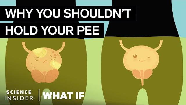 What happens if you hold your pee in for too long What happens if you hold your pee in for too long