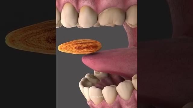 Purpose of your uvula #shorts Purpose of your uvula #shorts