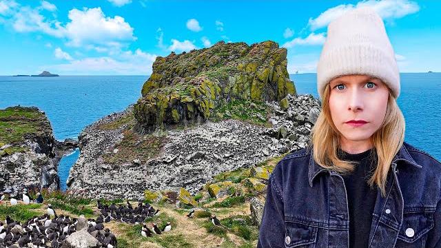 I went to the island the birds took over I went to the island the birds took over