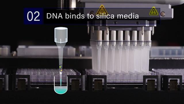 Intip nucleic acid cleanup Intip nucleic acid cleanup
