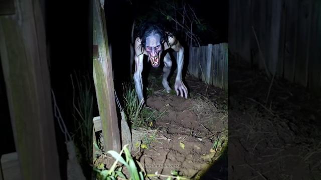 Scary videos #scary #horror #movie #scaryvideos #ghost #monster #animals #nightmare #terrifying Scary videos #scary #horror #movie #scaryvideos #ghost #monster #animals #nightmare #terrifying