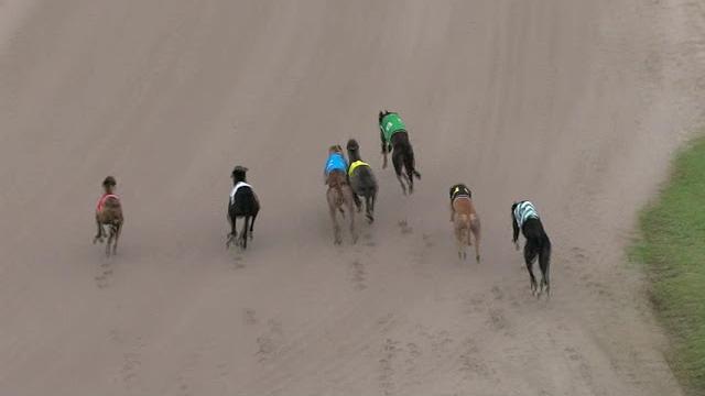 Ipswich-tuesday-30012024-race-4 Ipswich-tuesday-30012024-race-4