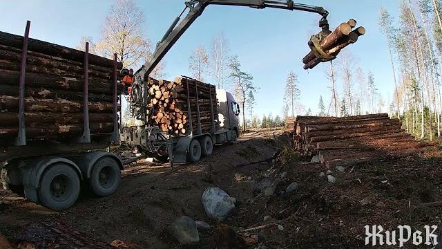 Работа на лесовозе с гидроманипулятором. Работа на лесовозе с гидроманипулятором.