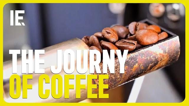 This is how your coffee made it to your table This is how your coffee made it to your table