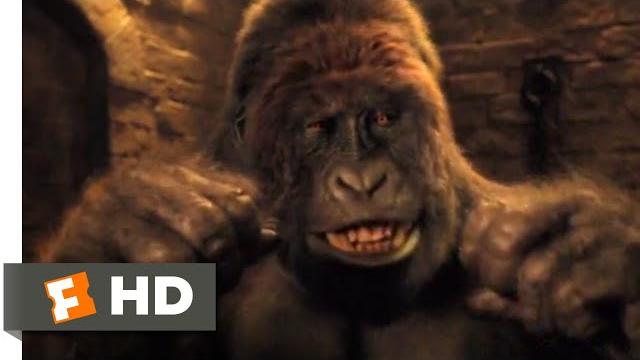 Dolittle (2020) - gorilla vs. tiger scene (7/10) | movieclips Dolittle (2020) - gorilla vs. tiger scene (7/10) | movieclips