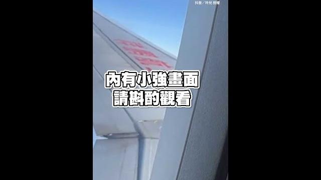 小強跟著上飛機囉!趴在窗邊3小時超崩潰qq #寧波 #蟑螂 #shorts 小強跟著上飛機囉!趴在窗邊3小時超崩潰qq #寧波 #蟑螂 #shorts