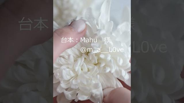 【女性向け】『嘘(癒し)』(シチュエーションボイス・asmr)#shorts 【女性向け】『嘘(癒し)』(シチュエーションボイス・asmr)#shorts