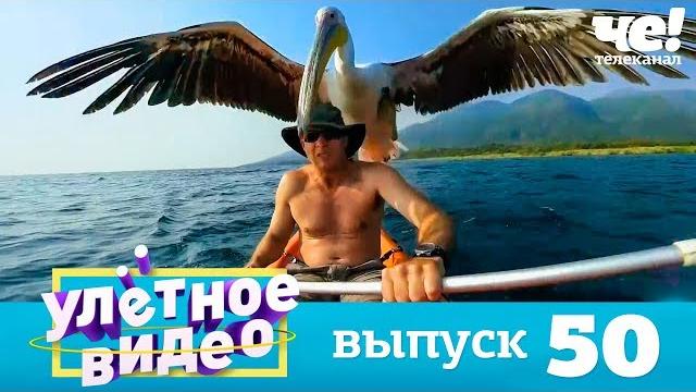Улетное видео | выпуск 50 Улетное видео | выпуск 50
