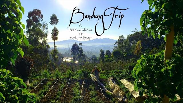 Ek naya safar | bandung | indonesia Ek naya safar | bandung | indonesia
