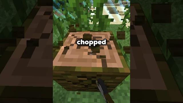 How do you actually play the viral box smp? How do you actually play the viral box smp?