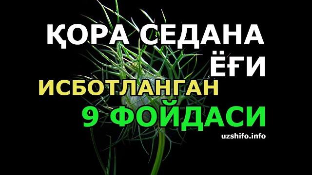 Қора седана ёғининг фан билан исботланган 9 фойдаси Қора седана ёғининг фан билан исботланган 9 фойдаси