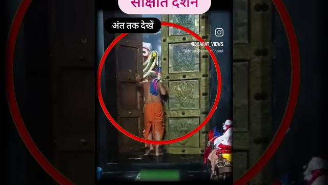 Radha madhav kunj bihari #live #love#bankebiharilivedarshan #bankebiharishridham vrindavan Radha madhav kunj bihari #live #love#bankebiharilivedarshan #bankebiharishridham vrindavan
